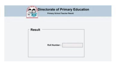 Primary Assistant Teacher Job Result 2022